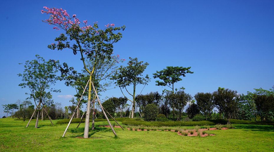 1538019416214283.jpg 2.jpg