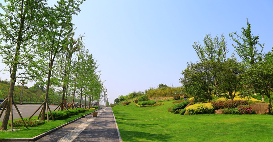 1538019920175968.jpg 2.jpg