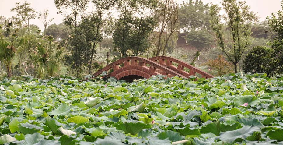 1538020105502371.jpg 2.jpg