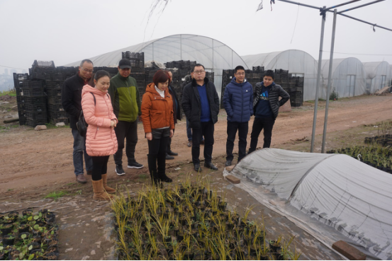 瀘州景觀(guān)規劃設計.png 瀘州景觀(guān)規劃設計.png