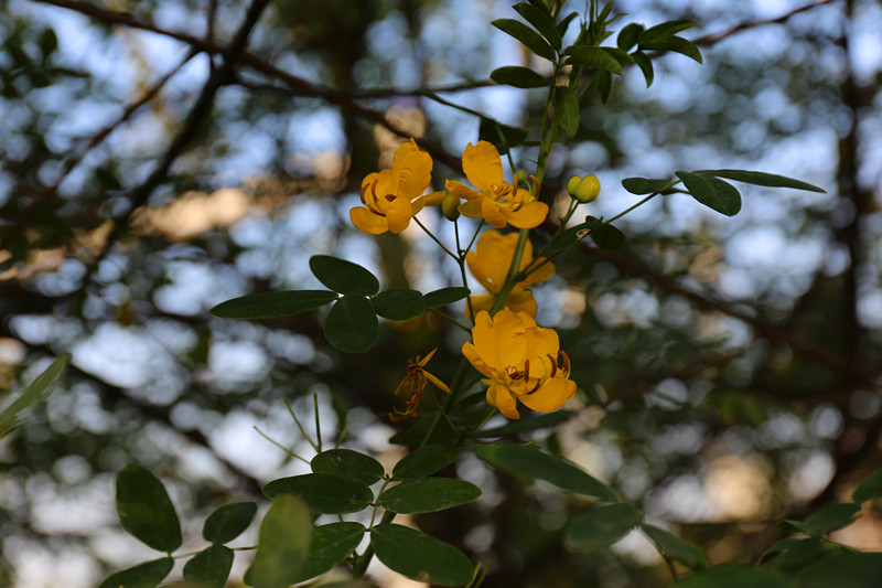 瀘州苗圃基地.jpg 瀘州苗圃基地.jpg