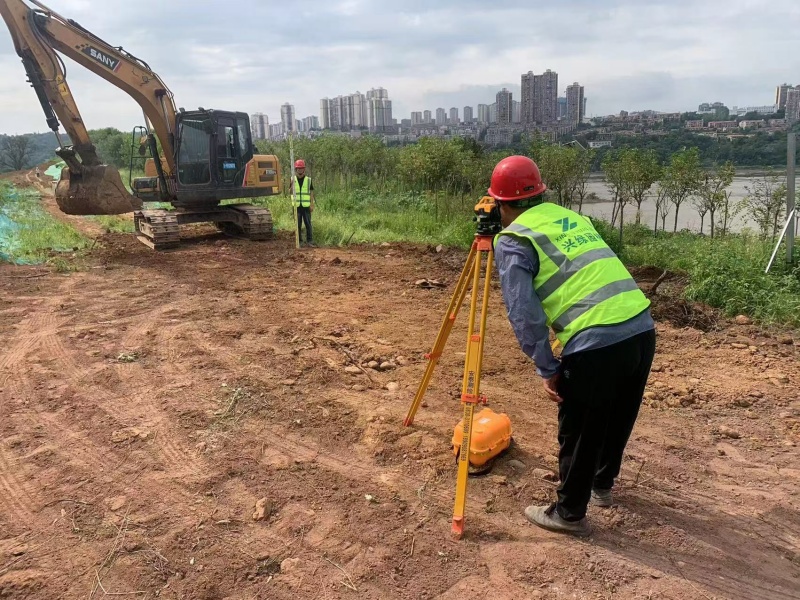 1727683912181670.jpg 茜草.jpg