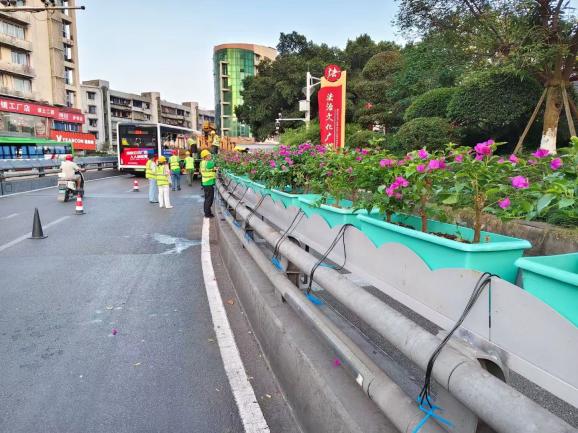 花映兩橋·綠滿(mǎn)酒城—興綠園林公司實(shí)施沱江一橋、連心橋景觀(guān)升級(jí)工程   